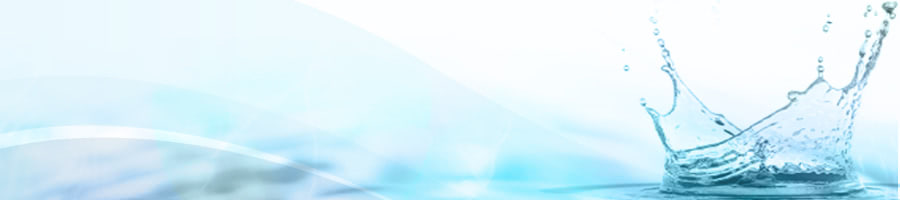 �������FS�}�l�W�����g(FSSC22000�F�؎擾�x���j